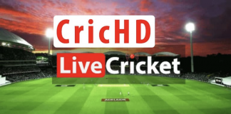 19 Best Live Cricket Streaming Apps & Websites To Watch Cricket Online